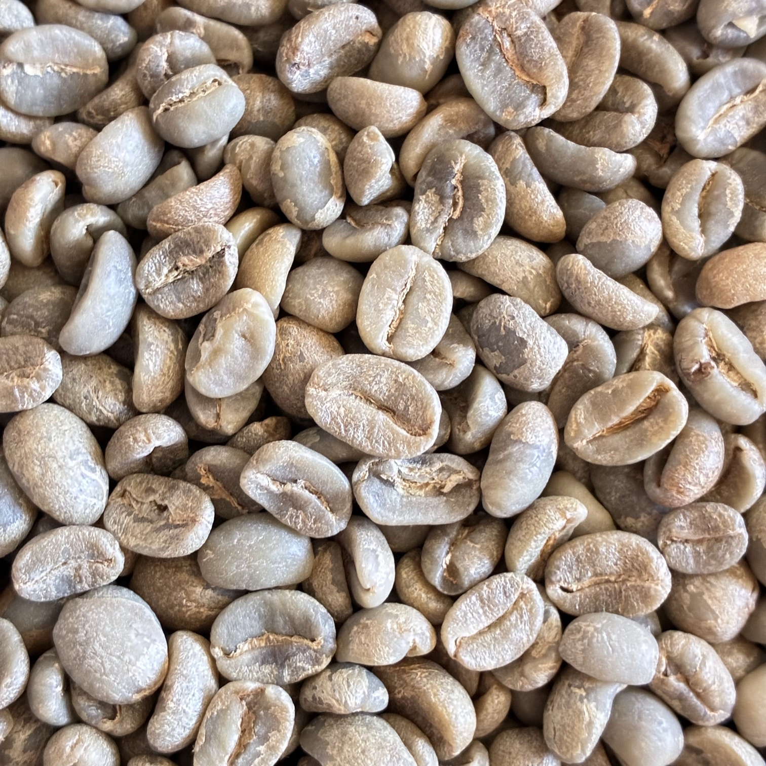 �{���r�A����