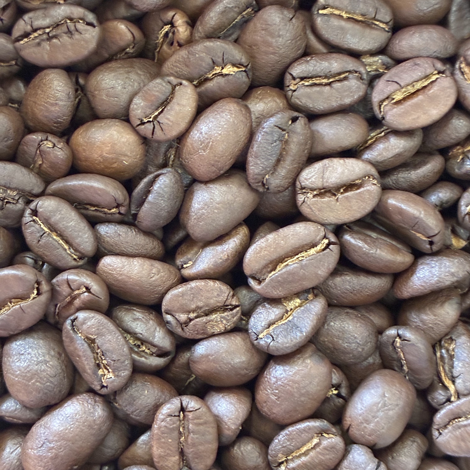 �{���r�A������