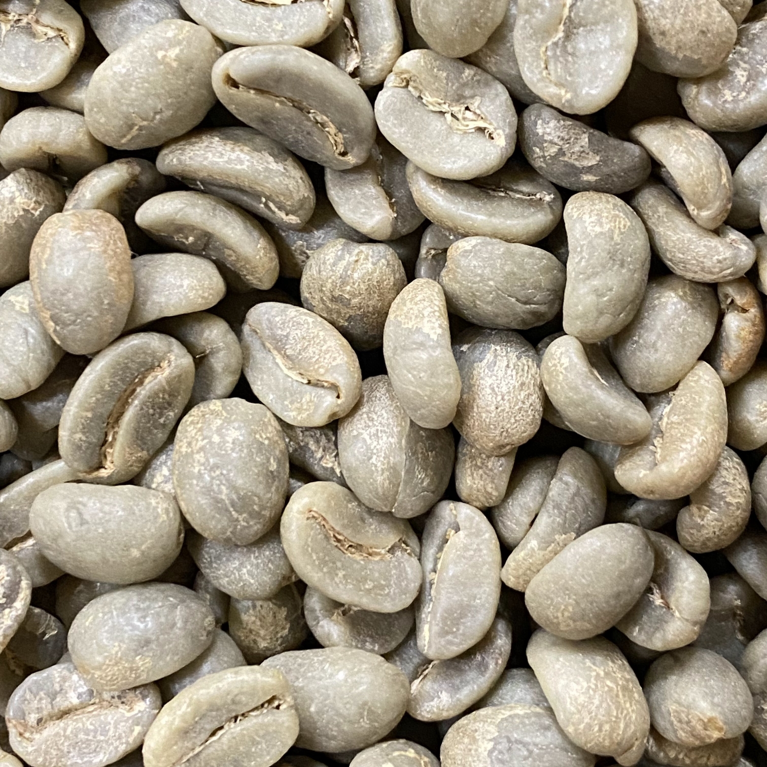 エメラルドマウンテン生豆