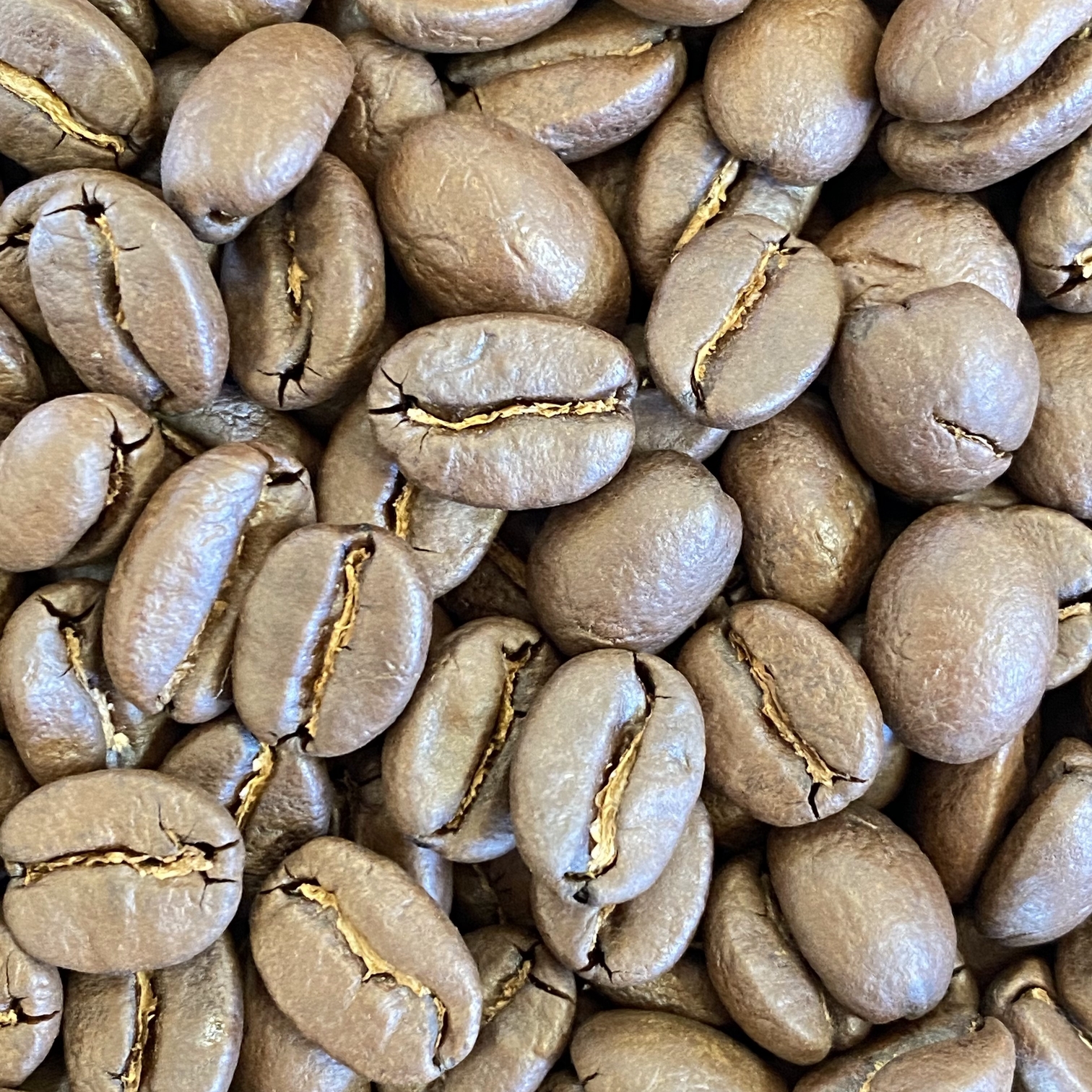 エメラルドマウンテン焙煎豆