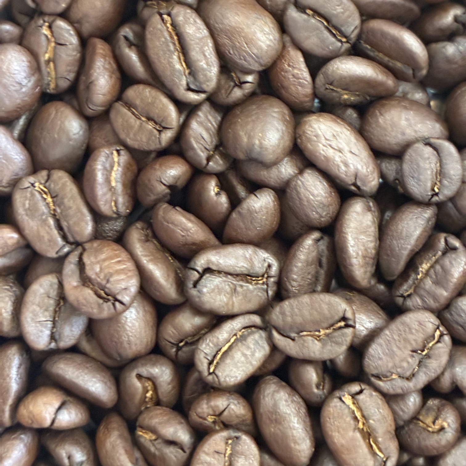 �z���W�����X������