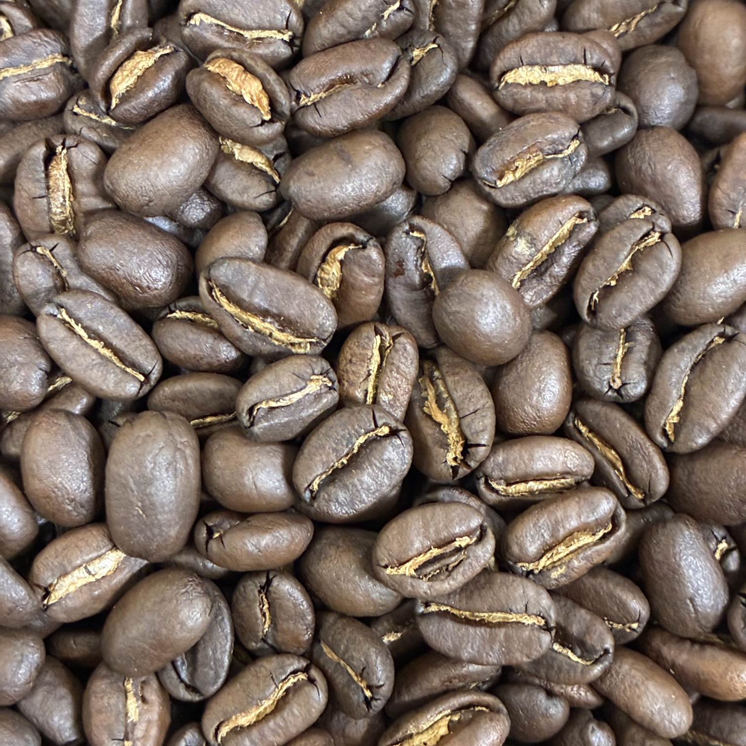 �p�v�A�j���[�M�j�A������